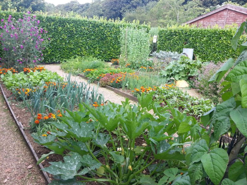 Kitchen Gardens